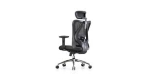 SIHOO M18 Ergonomic Chair