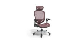 Staples Hyken Mesh Chair