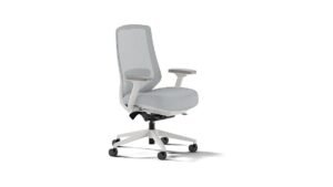 Branch Ergonomic Chair Pro