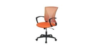 PayLessHere Ergonomic Gaming Chair