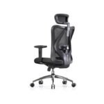 SIHOO M18 Ergonomic