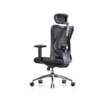 SIHOO M18 Ergonomic Chair